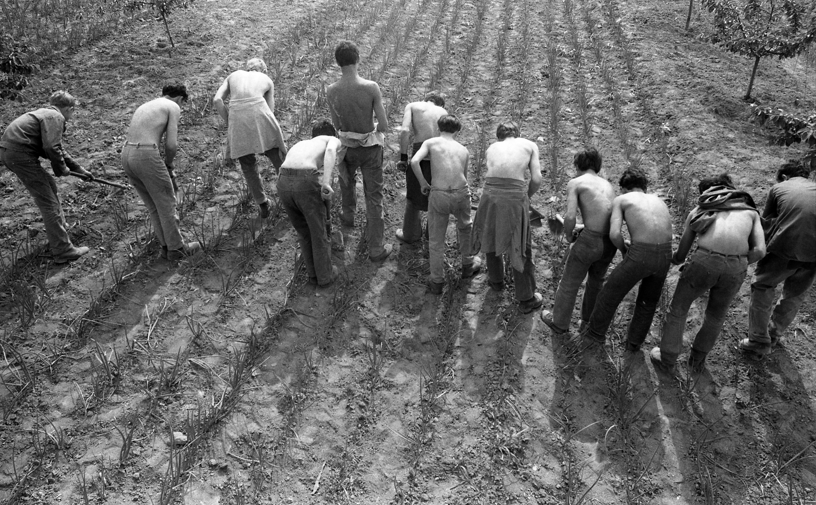Fortepan, www.fortepan.hu, photo by Urb&aacute;n Tam&aacute;s